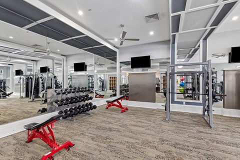 A gym with a variety of equipment including dumbbells, weight plates, and a bench press.