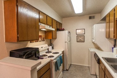 1501 S Loop 256 1 Bed Apartment for Rent - Photo Gallery 1