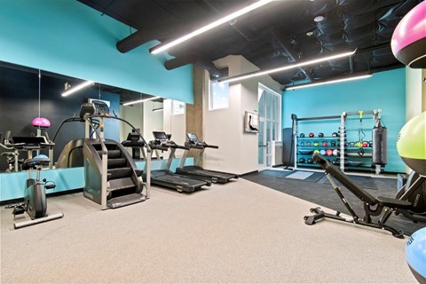 A gym with a variety of equipment including treadmills, stationary bikes, and weight machines.