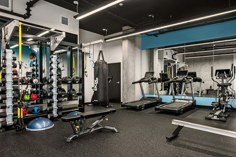 A gym with a variety of equipment including treadmills, weights, and a punching bag.