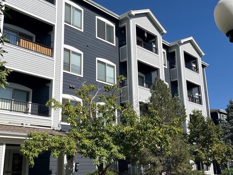 a row of houses with trees in front of them