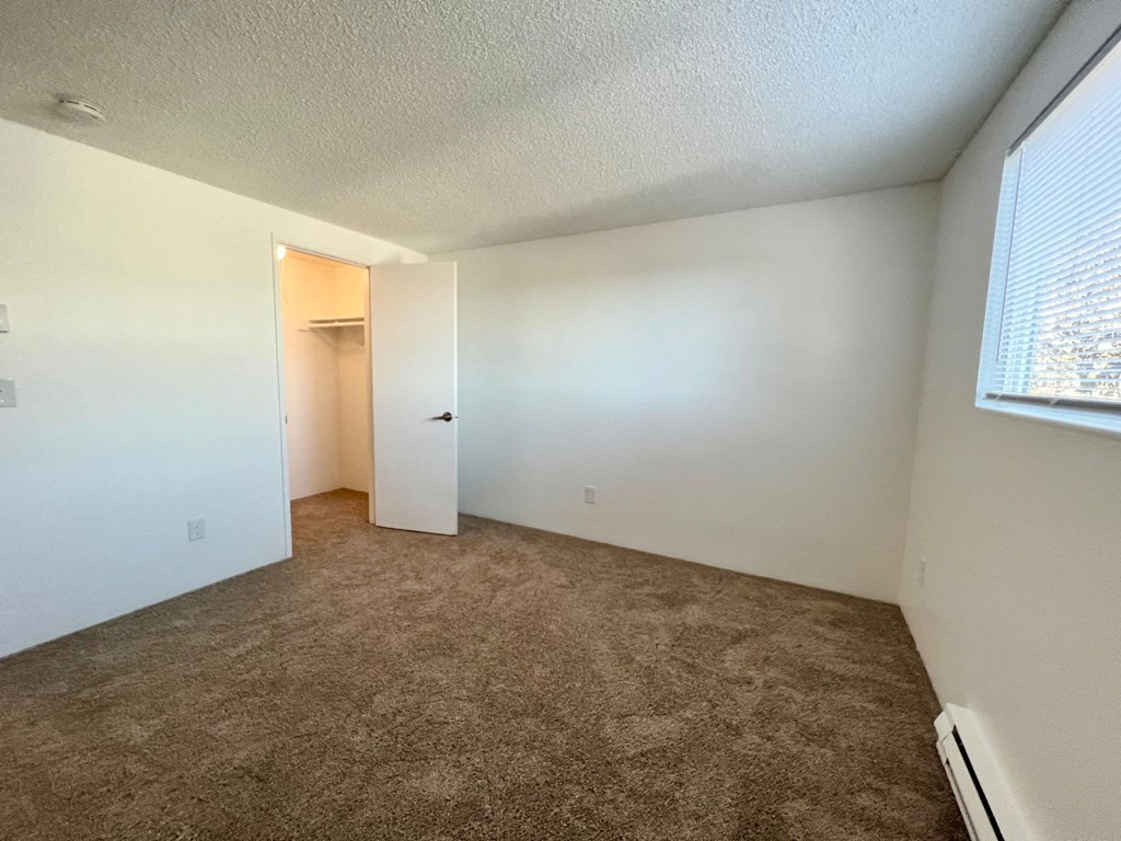 an empty living room with carpet and a door to a closet