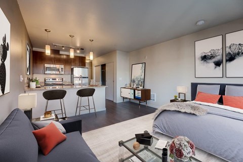 Model Studio at Koi Apartments, Seattle