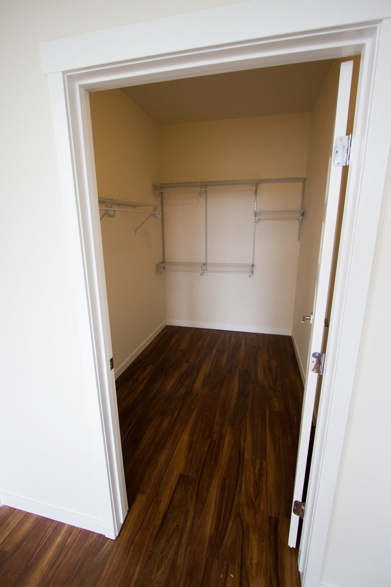 201Lofts Apartments Walk-In Closet and Hanger Rods