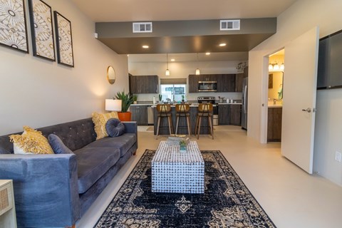 A living room with a grey couch and a patterned rug.