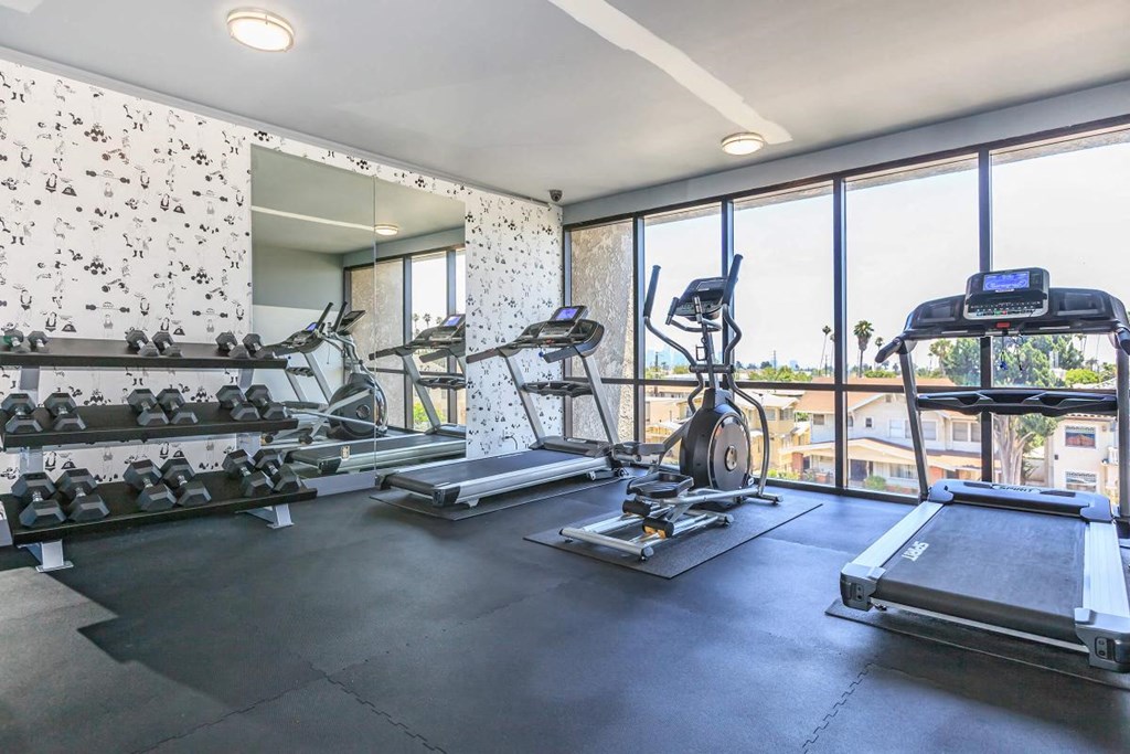 the gym is stocked with treadmills and other exercise equipment