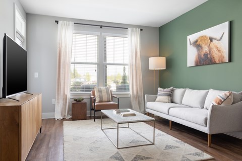 A living room with a grey couch, a coffee table, a television, and a painting of a bison on the wall.
