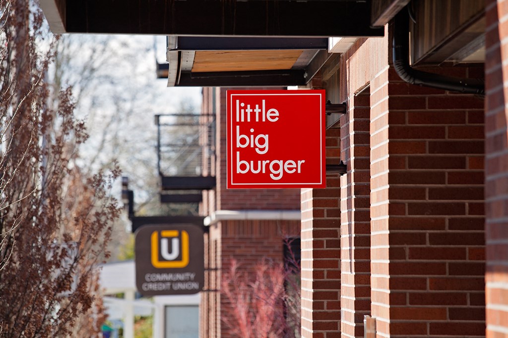 Little Big Burger