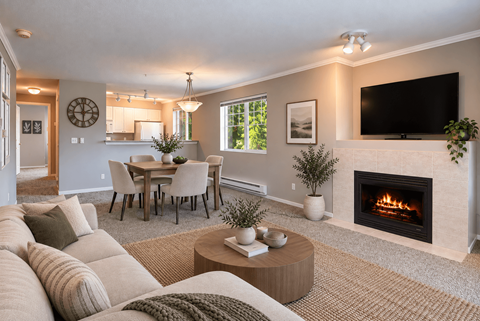 A living room with a fireplace and a television.