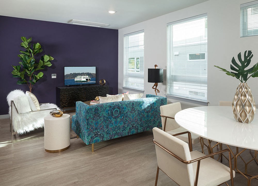 a living room with a purple accent wall and a blue couch