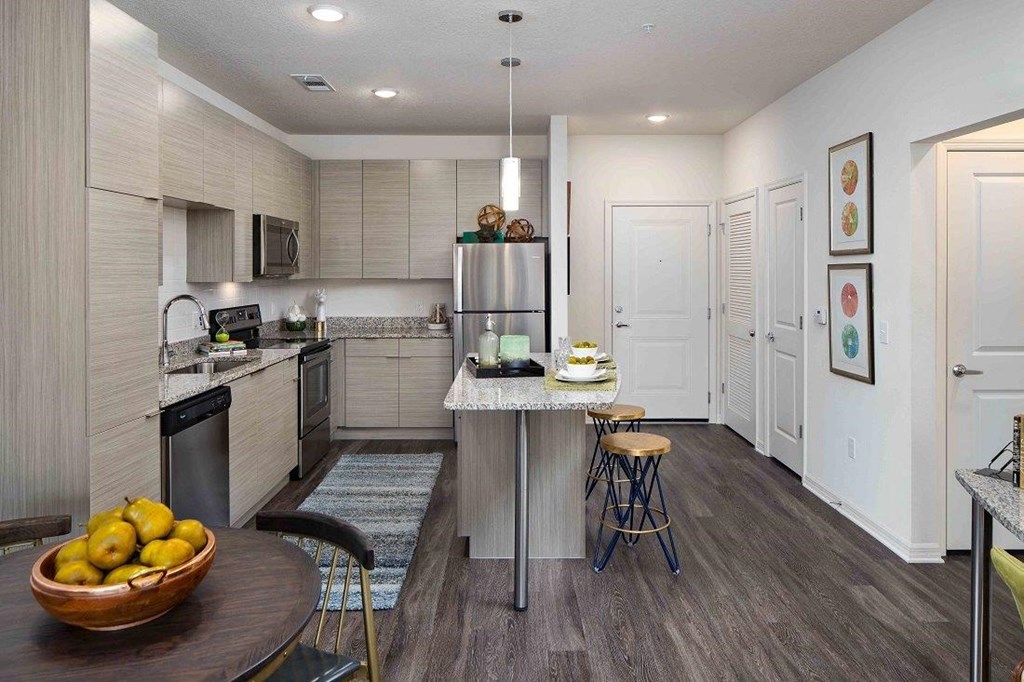 M South Apartments Model Kitchen