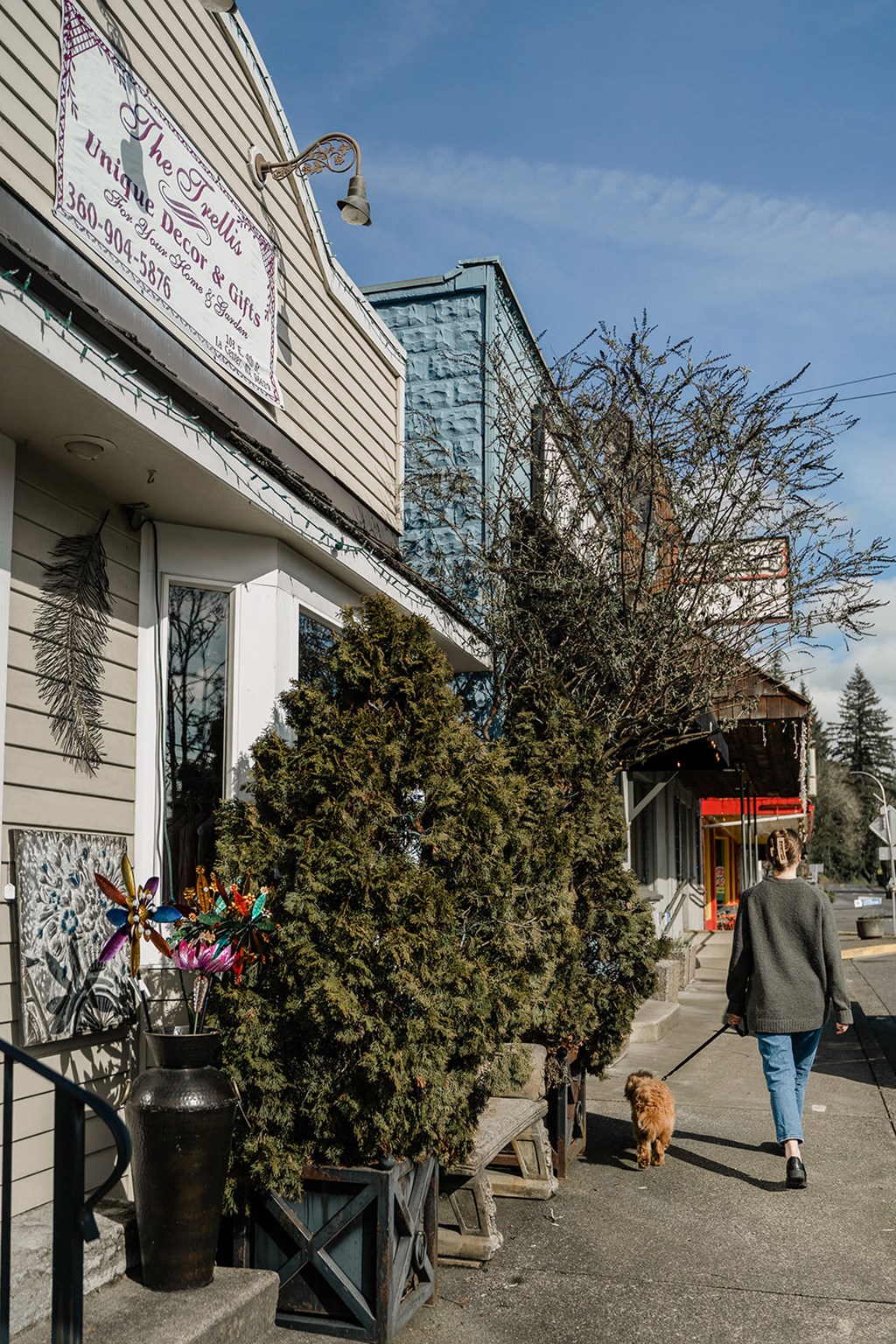 EastForkCommons_LaCenter_Oregon_Neighborhood_2