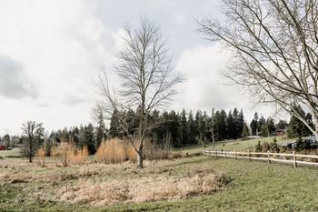 EastForkCommons_LaCenter_Oregon_AmenityGallery_View