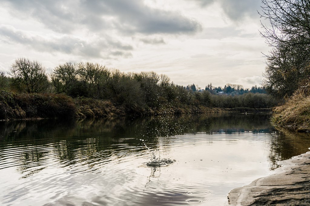 EastForkCommons_LaCenter_Oregon_Neighborhood_EastFork