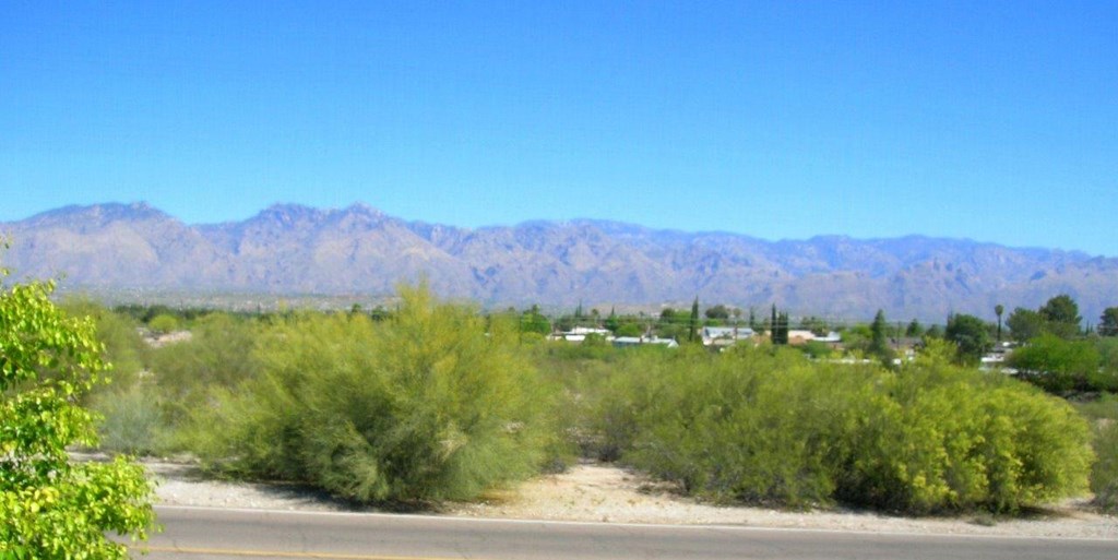 A desert landscape with mountains in the background and a road in the foreground.