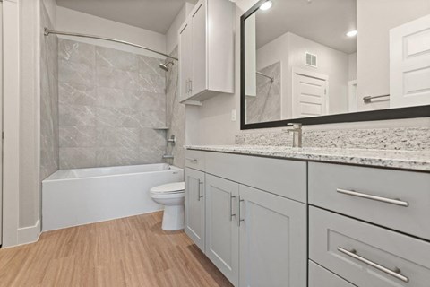 a bathroom with a sink and a toilet and a shower