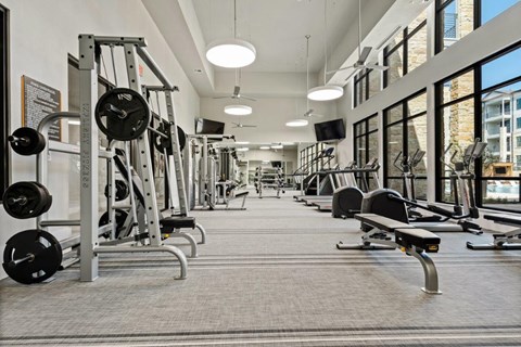 the gym has a large amount of weights machines and mirrors