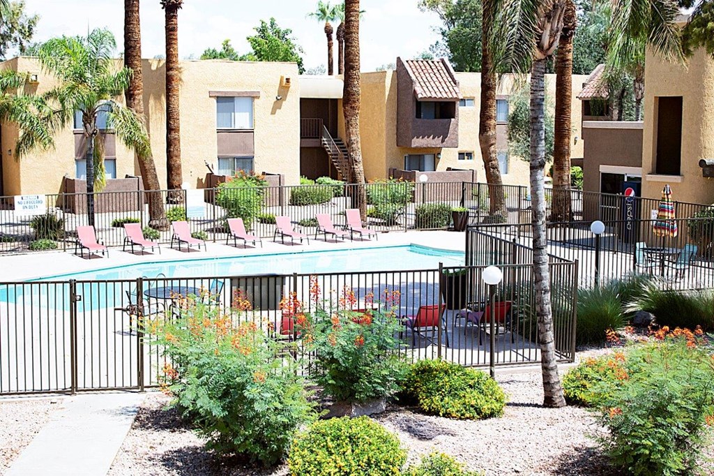 Madera at Metro Pool with Lounge Chairs