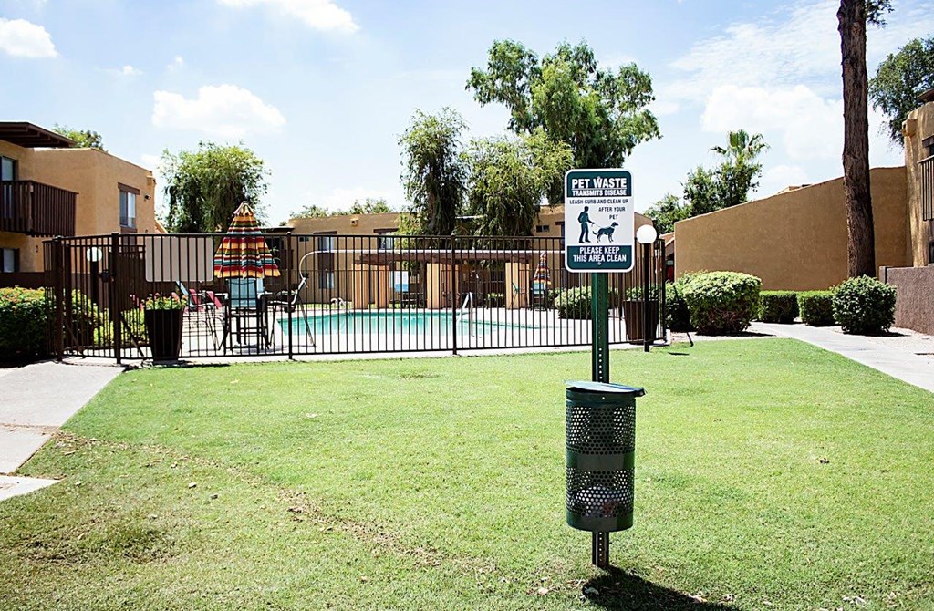 Madera at Metro Courtyard and Pool