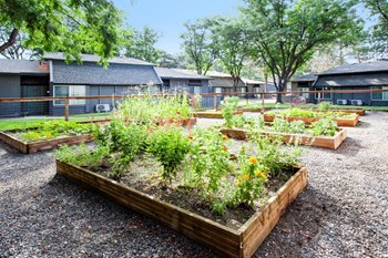 Maple Ridge Apartments Garden Area - Photo Gallery 18