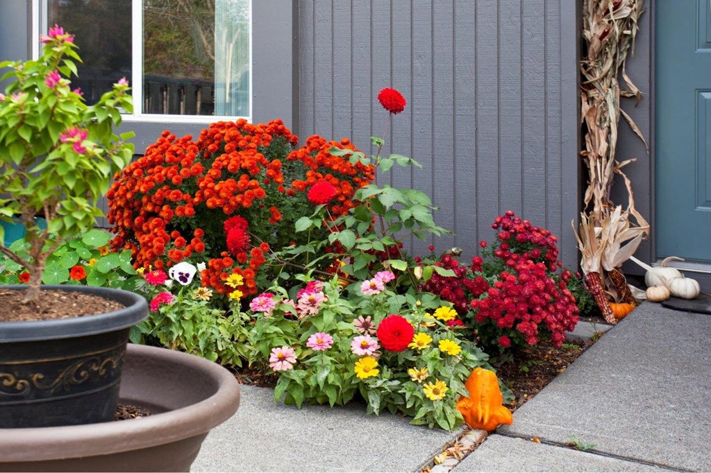 Maple Ridge Apartments Exterior