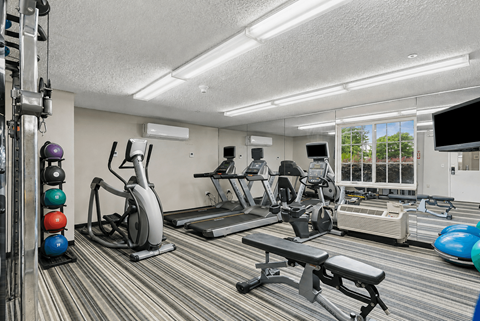 A well-equipped gym with a variety of exercise machines and weights.