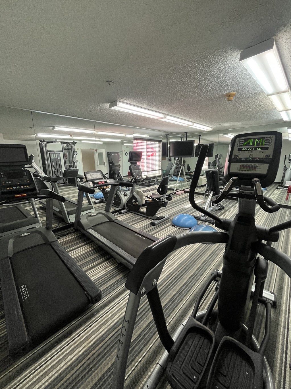 A gym with treadmills and elliptical machines.