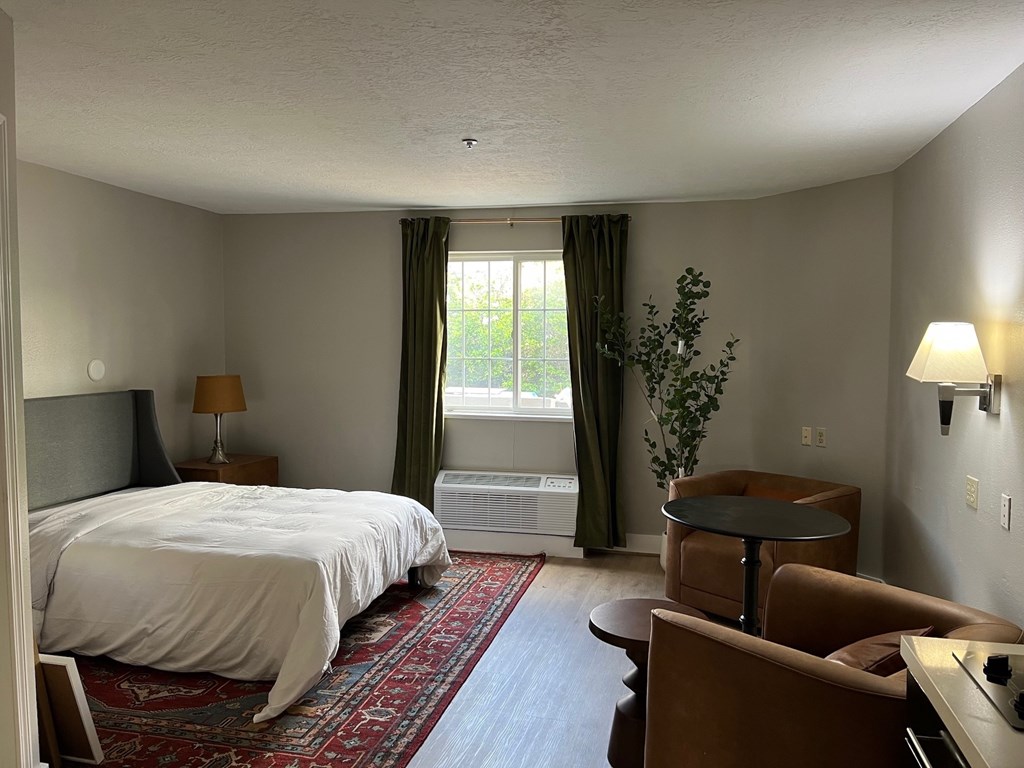 A bedroom with a large bed and a small table with a plant on it.