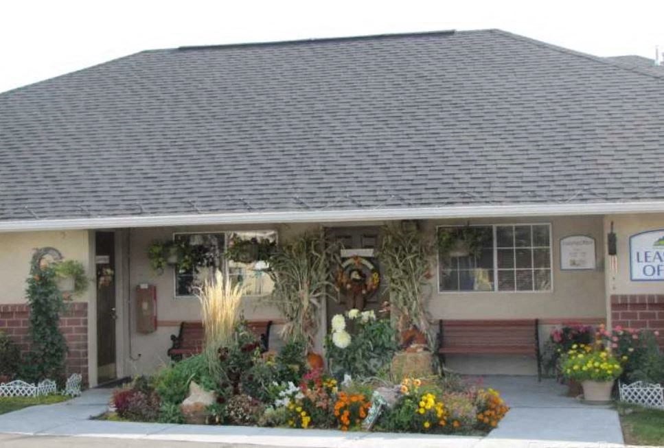 a house with a bunch of flowers in front of it