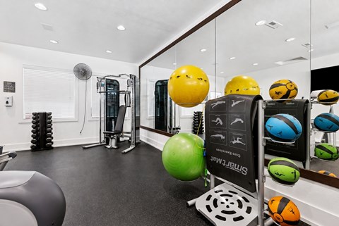 A gym with a variety of equipment including a treadmill, a stationary bike, and a rowing machine.