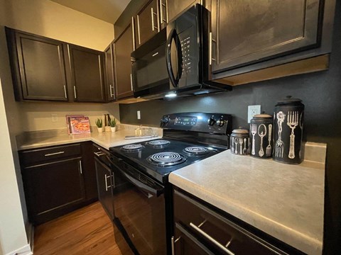 a kitchen with stainless steel appliances and black cabinets