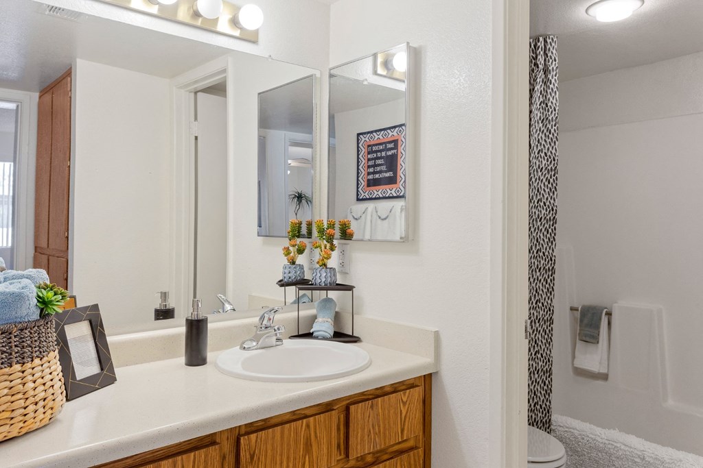 North Mountain Village Bathroom with Bathtub