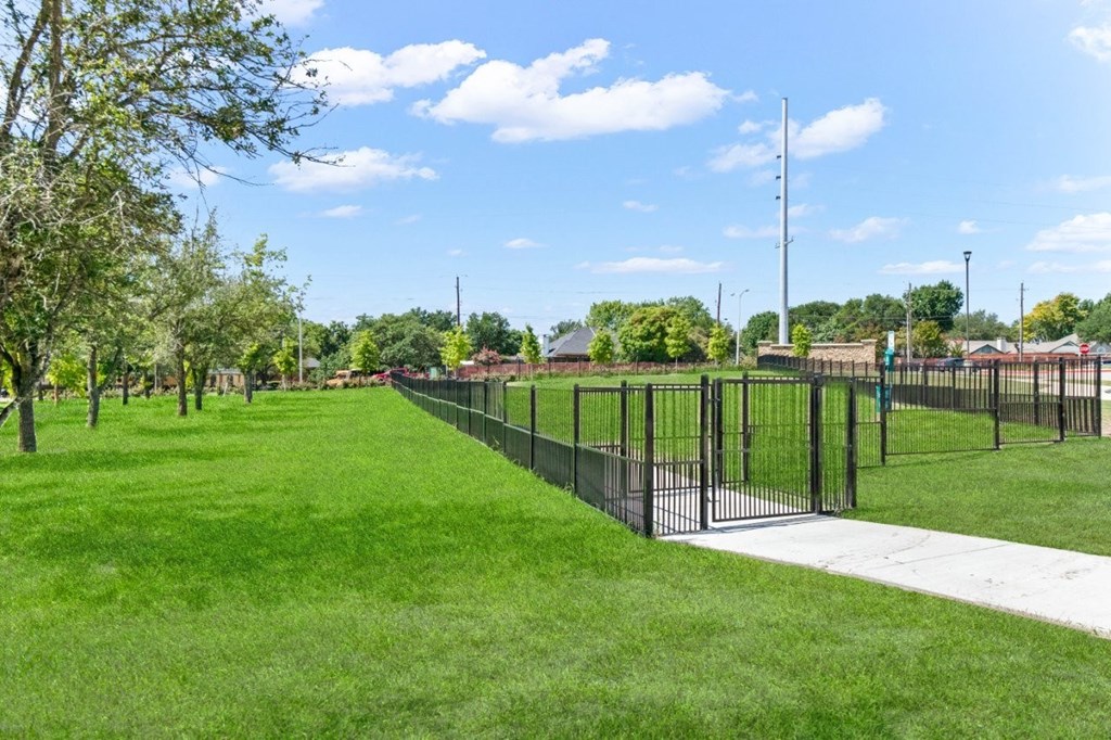 A black fence runs along a green field.