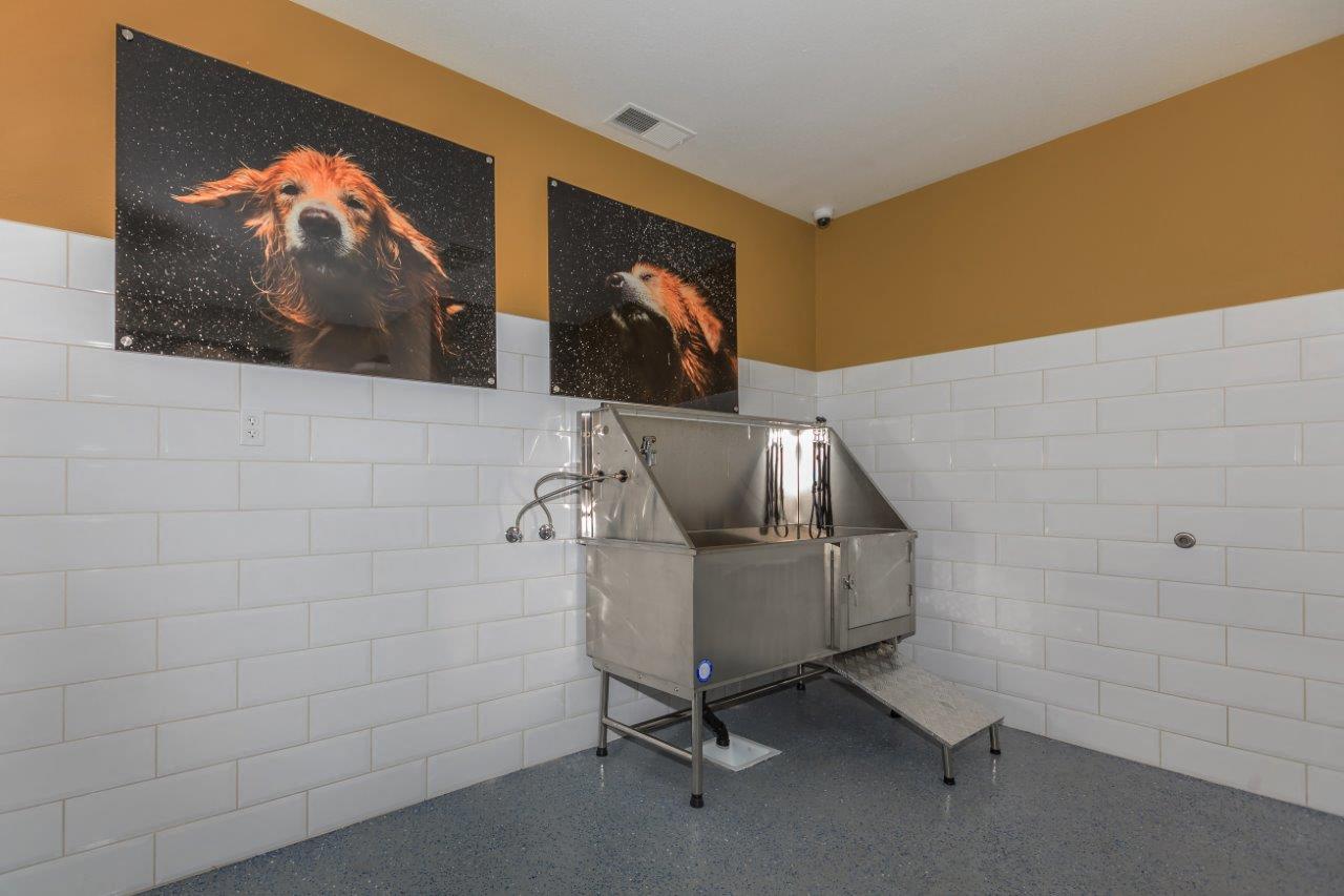 Sagecliff Apartments Pet Washing Station