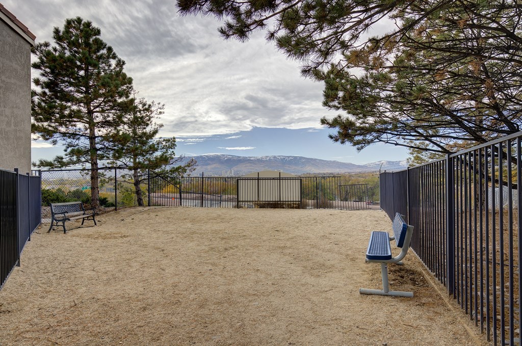 Sagecliff Apartments Outdoor Dog Park