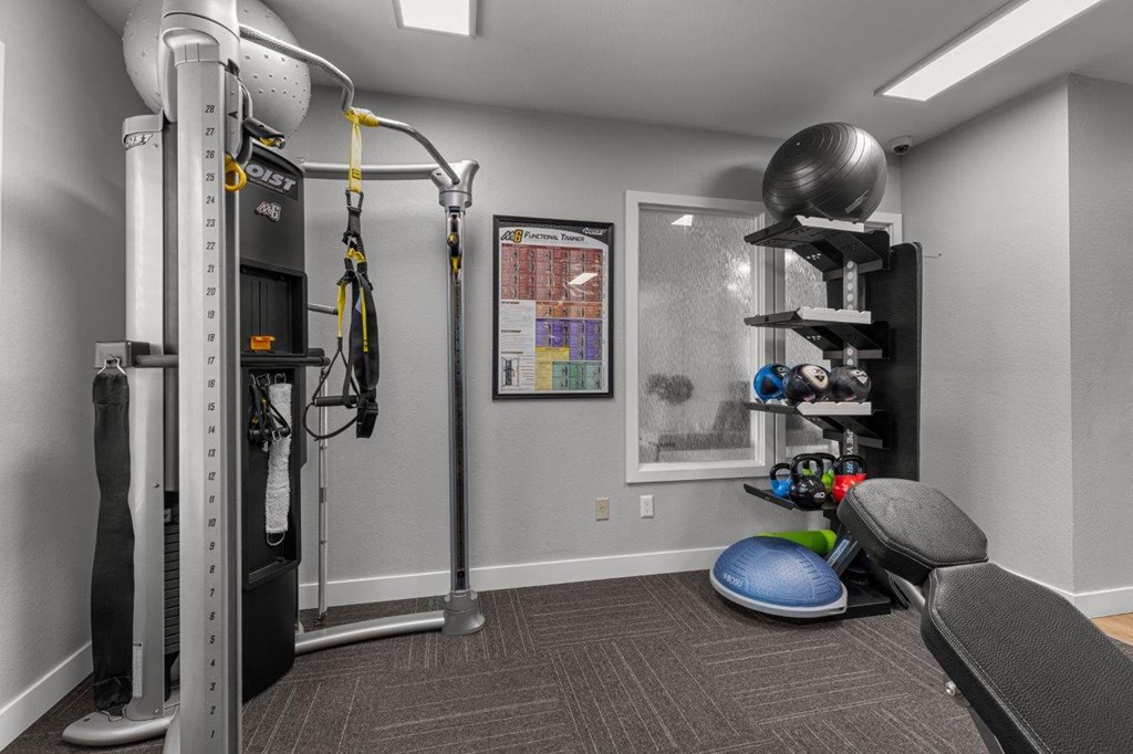 our gym is equipped with a variety of equipment for your use