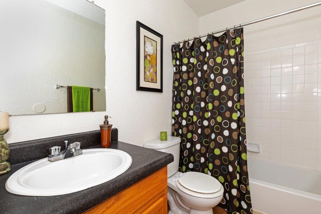 A bathroom with a sink, toilet, and shower curtain.