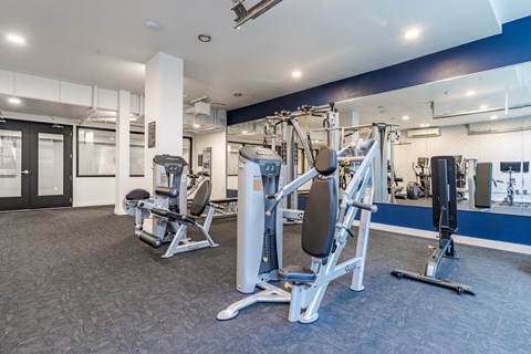 a gym with weights and cardio equipment in a building