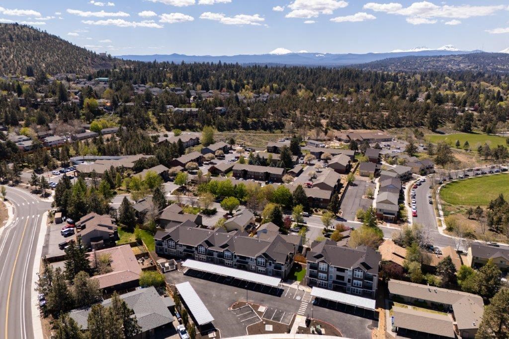 an aerial view of a neighborhood with houses and trees