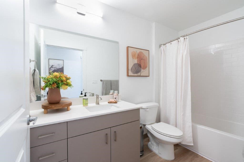 a bathroom with a sink and a toilet and a shower