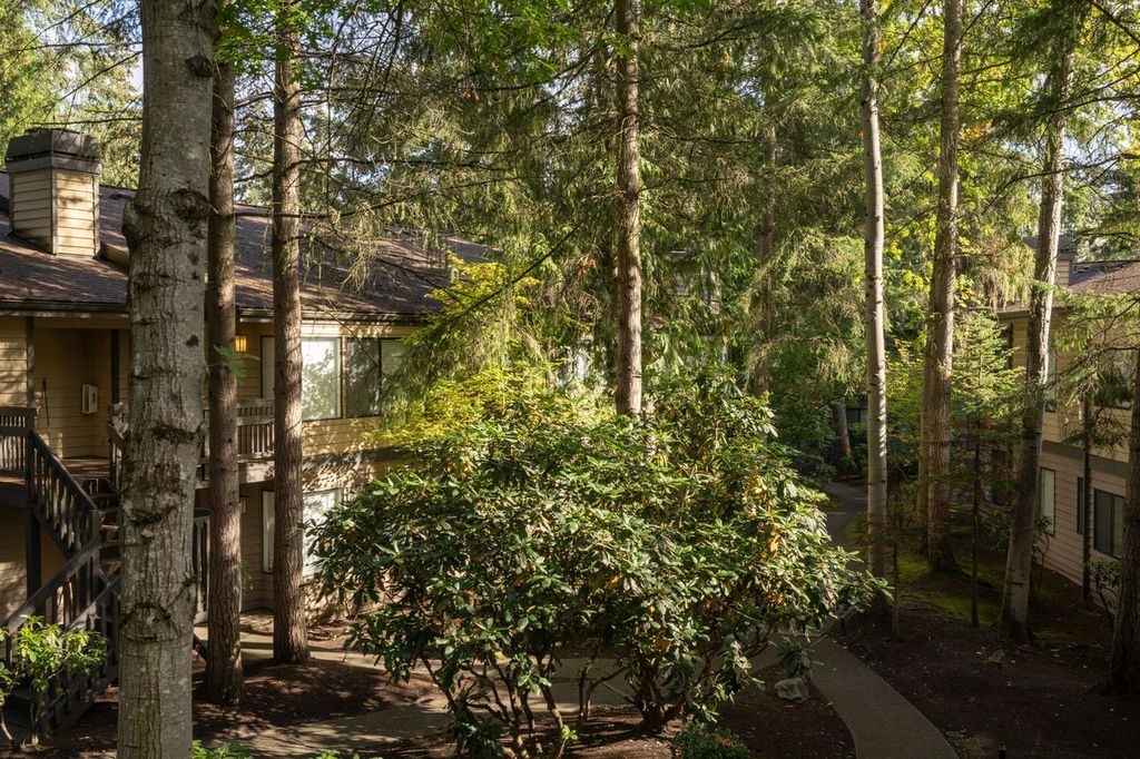 A house surrounded by trees in a sunny day.