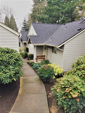 McCornack Place Exterior Path - Photo Gallery 6