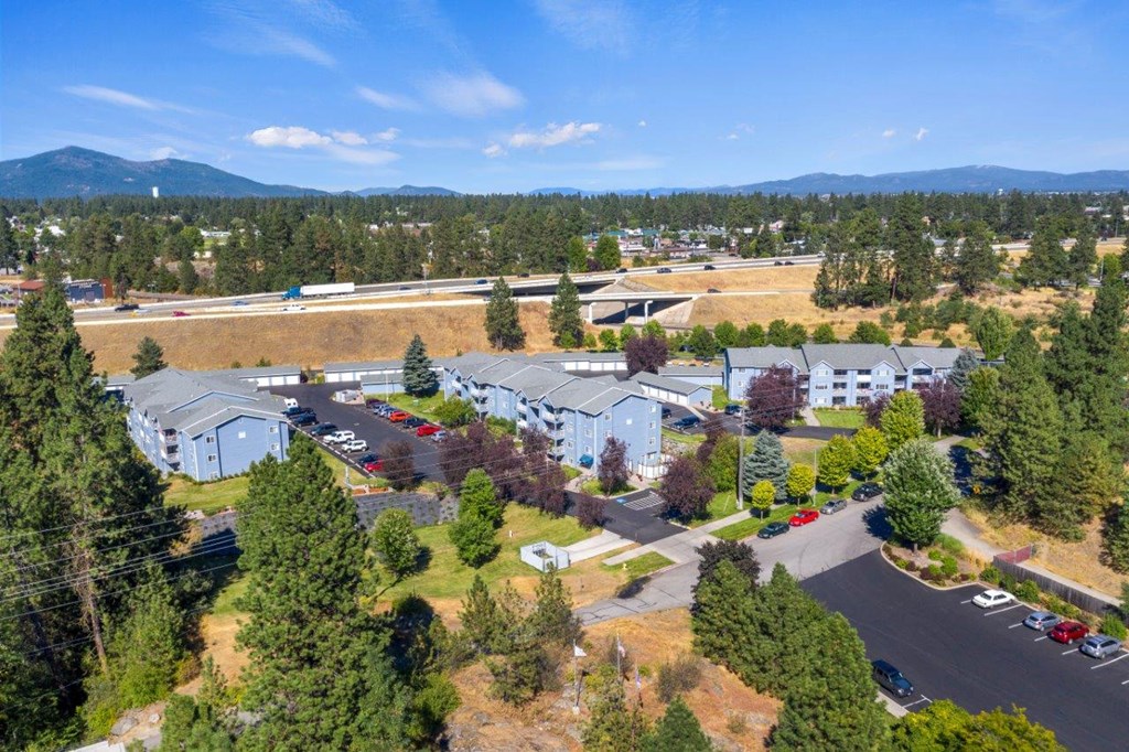 Peaks at Falls Park Exterior and View of Surrounding Area