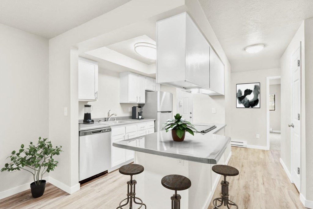 Peaks on Pines Model Kitchen