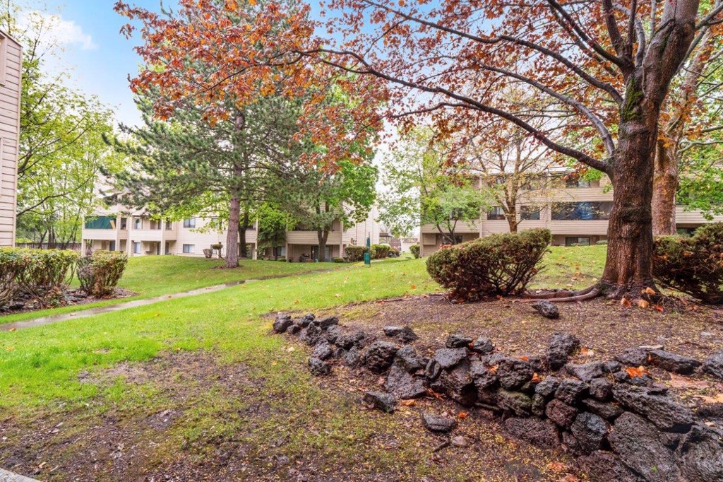 Peaks on Pines Exterior and Courtyard