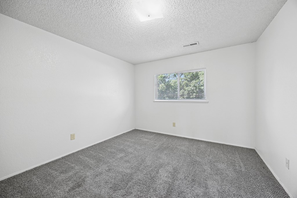A room with a carpeted floor and a window showing trees outside.
