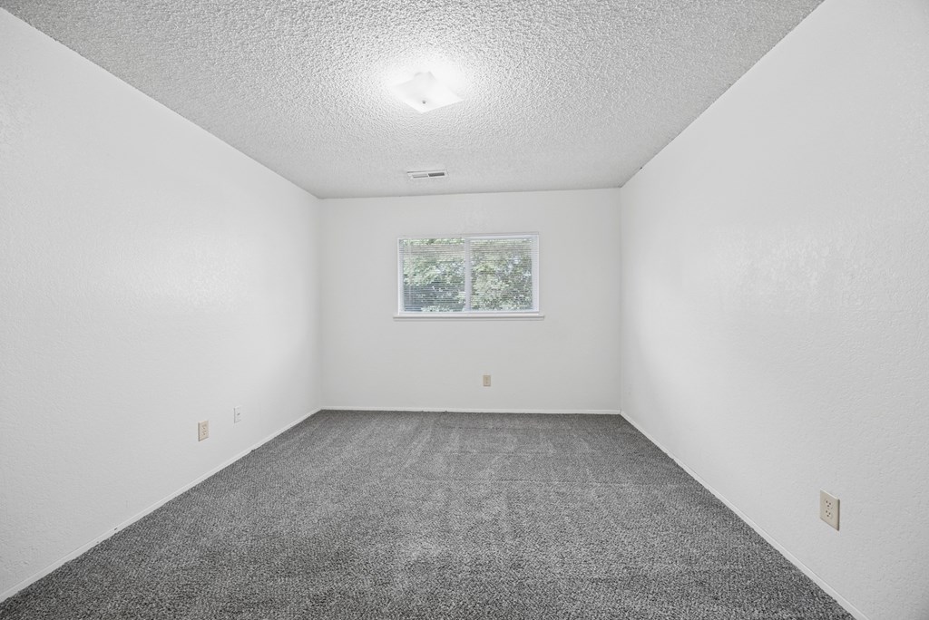 A room with a grey carpet and a window showing trees outside.