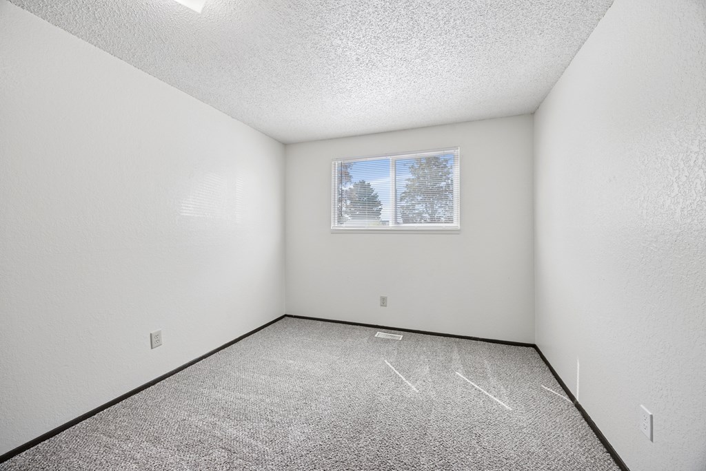 A room with a carpeted floor and a window showing trees outside.