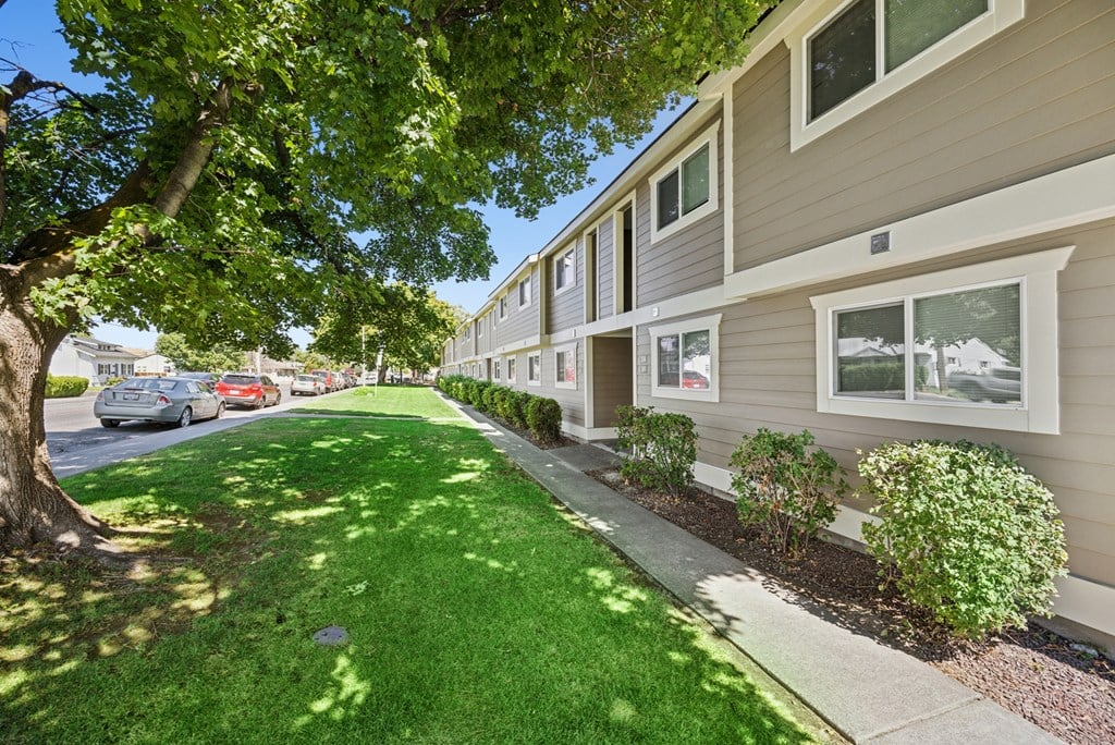 A tree is in front of a building.