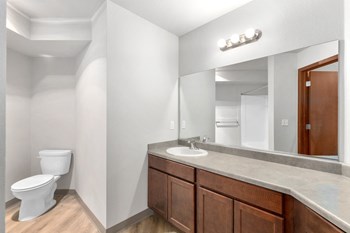Pioneer Meadows Bathroom with Large Vanity - Photo Gallery 15